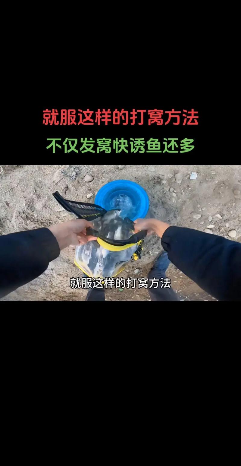 野釣羅非怎樣避小釣大_避羅非釣鯉魚_釣羅非避小釣大技巧