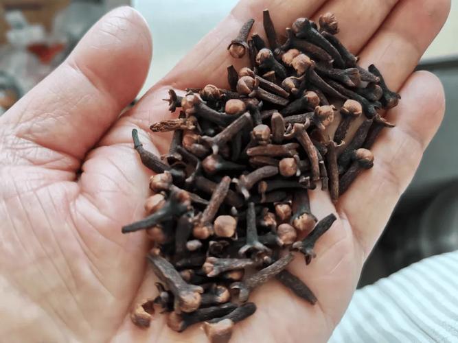 野釣鯽魚經典餌料配方_丁香山奈配918餌料配方_野釣丁香山奈餌料配方