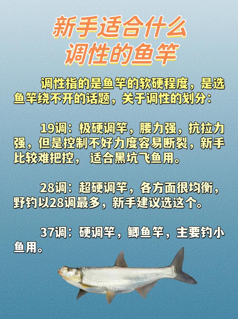 魚竿調性28好還是37好_釣魚新手如何選擇魚竿_魚竿調性硬度區別