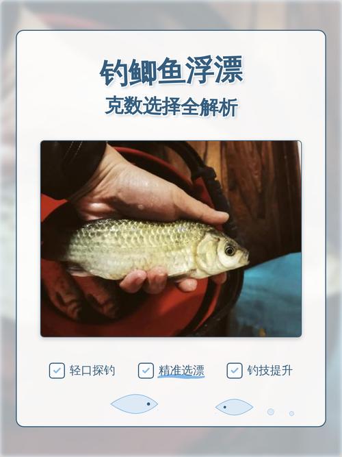 納米浮漂春季野釣鯽魚_野釣鯽魚漂的選擇_春季野釣鯽魚浮漂選擇