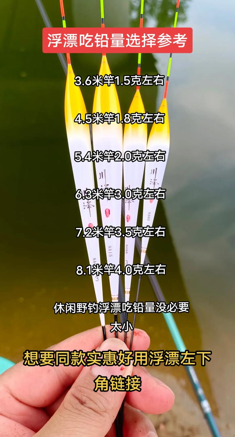 流線型棗核型浮漂釣鯽魚_釣鯽魚吃鉛量小的浮漂選擇_野釣鯽魚漂的選擇