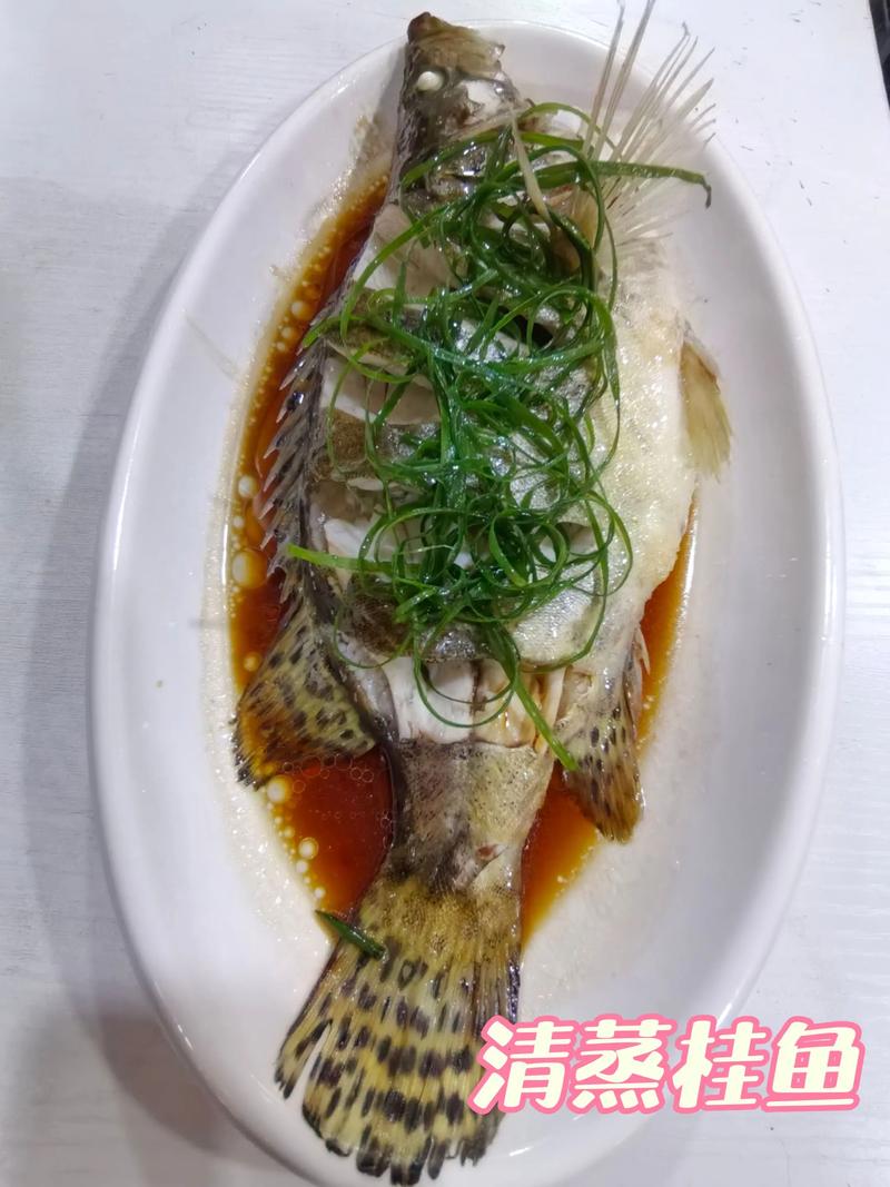 清蒸桂魚做法_清蒸桂魚_清蒸桂魚營養價值