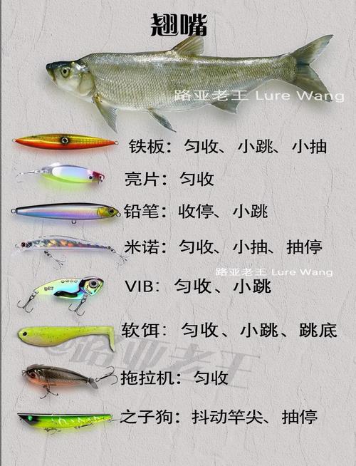 魚竿調性_L調性魚竿配餌選擇_路亞調性配餌表