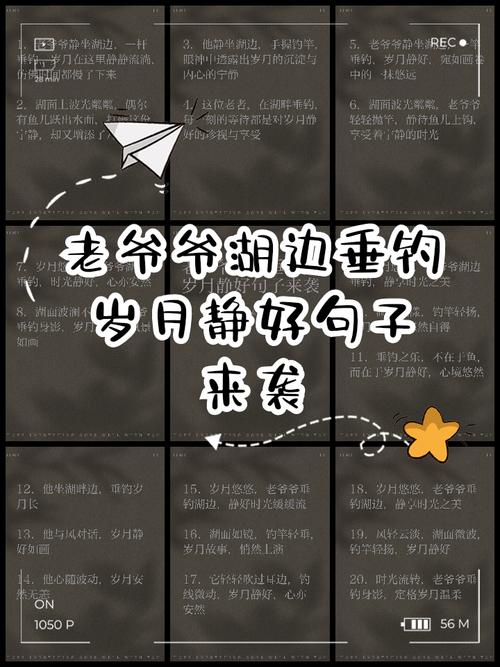 秋釣蔭技巧_秋季釣魚技巧_秋季釣魚諺語