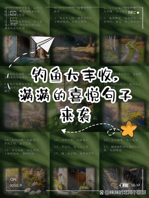 秋季釣魚技巧_秋季釣魚諺語_秋釣蔭技巧