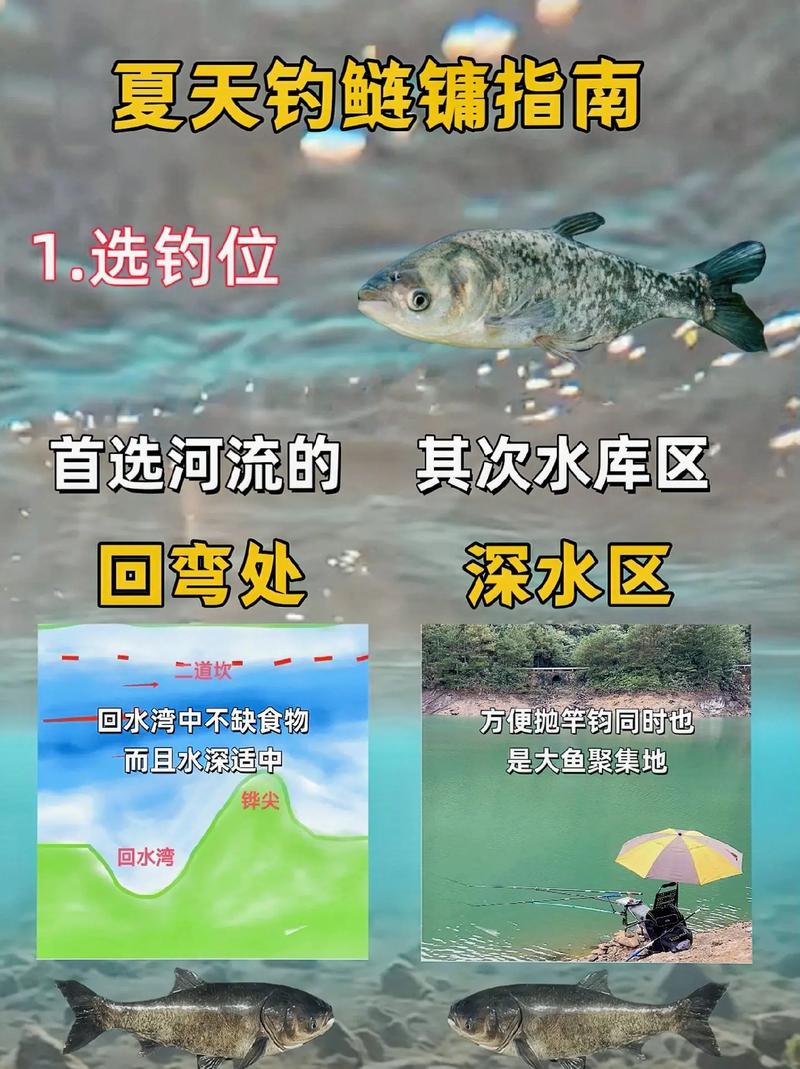 夏季水庫釣魚技巧_夏季湖庫海竿釣鯉魚策略_釣點選擇配置餌料技巧