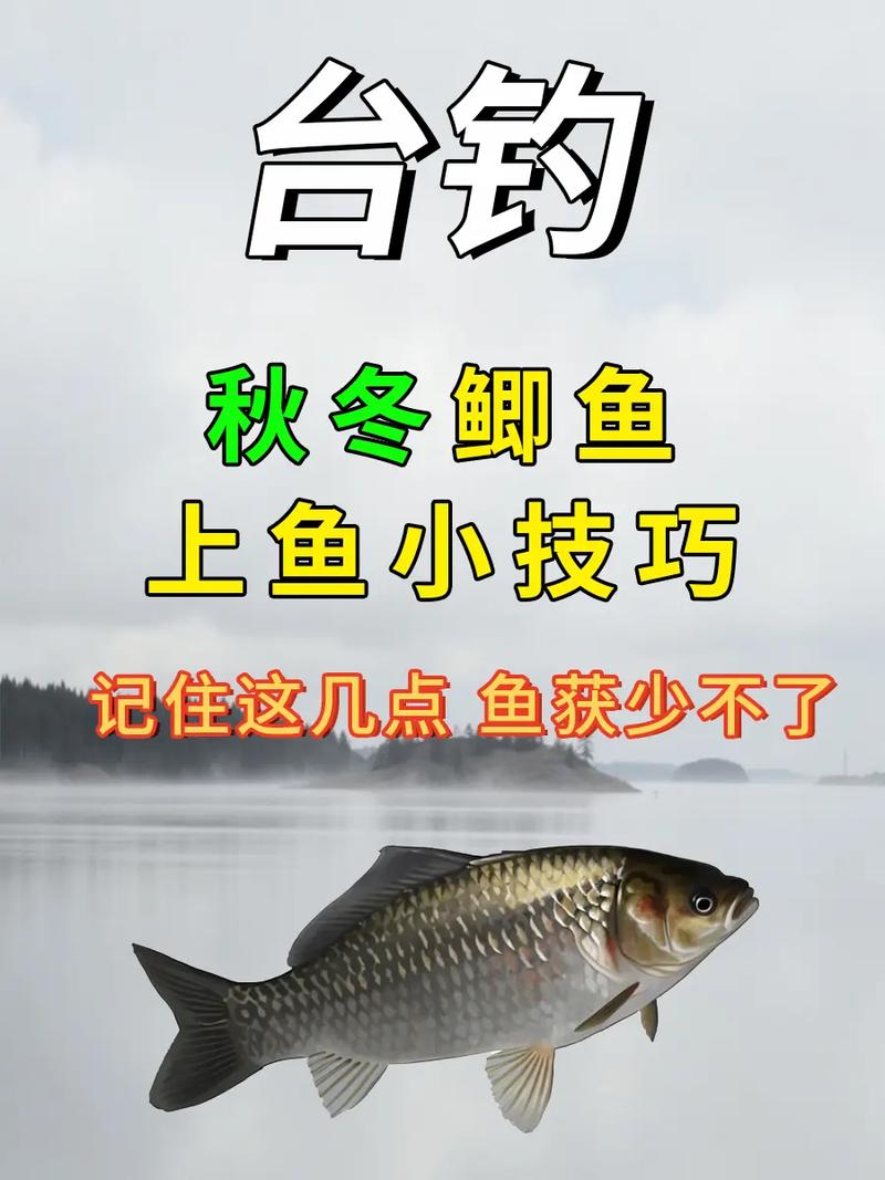 秋釣鯽魚天氣選擇_秋釣鯽魚釣位技巧_秋季釣魚