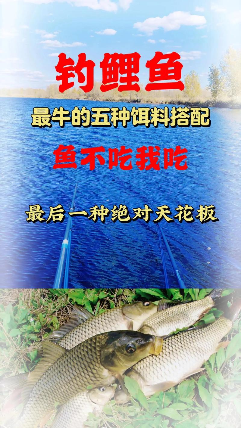 秋季鯉魚釣位選擇_秋季釣魚_秋季鯉魚餌料配方