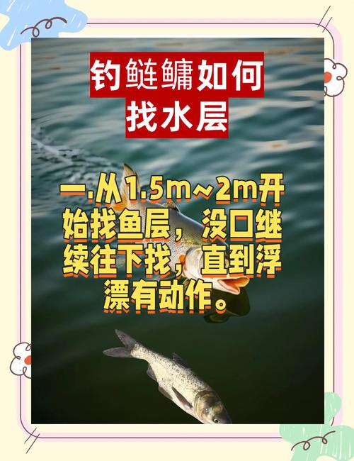 鰱魚_釣鰱魚的技巧_如何釣鰱魚_鰱魚最佳釣位選擇_釣鰱魚技巧