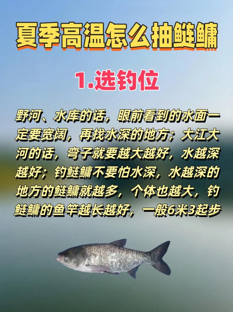 釣小鰱鳙方法_釣大鰱鳙技巧_鰱魚的生活習性和釣法介紹