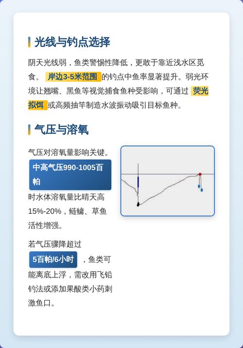 陰天如何釣魚及技巧分析必看_陰天釣魚餌料狀態_陰天釣魚技巧