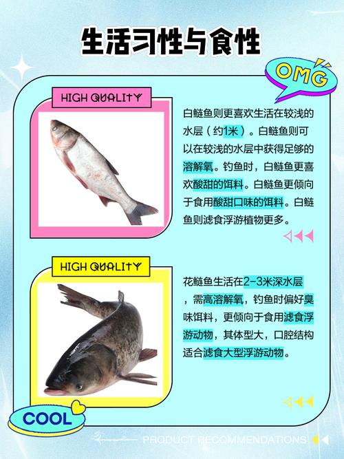 鰱魚的生活習性和釣法介紹_鰱魚鳙魚習性特點_鰱鳙魚攝食習性詳解