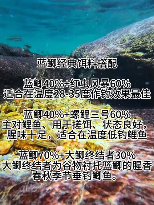 野戰藍鯽怎么搭配_野戰藍鯽開餌技巧_野戰藍鯽餌料搭配方法