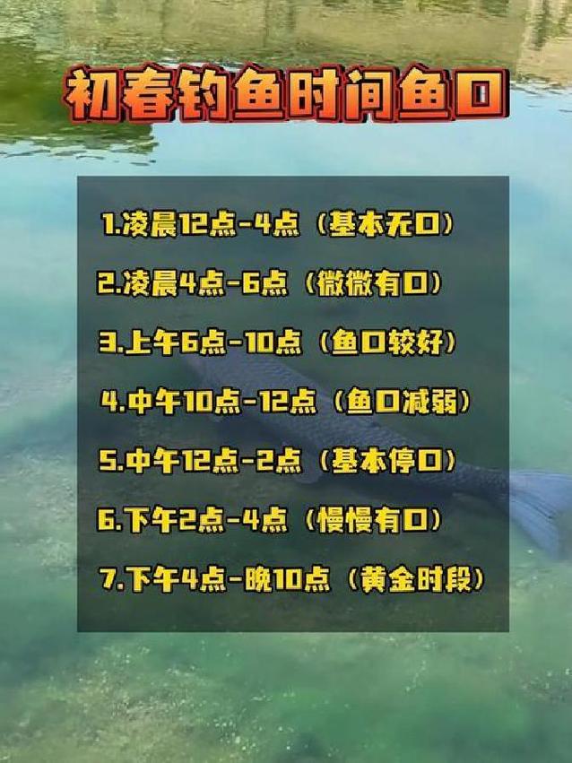 陰天釣魚技巧_陰天如何釣魚_陰天如何釣魚及技巧分析必看