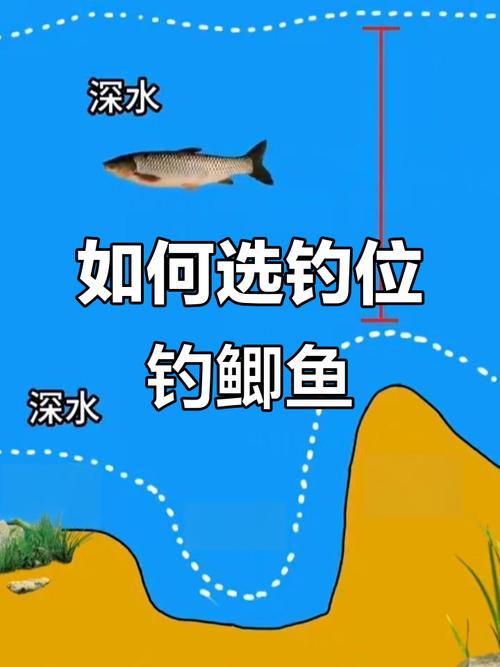 春天釣魚技巧野釣鯽魚_初春水庫鯽魚釣位_初春水庫避風釣點