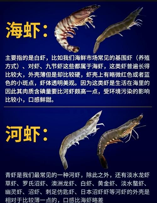 如何挑選河蝦_辨別海蝦與河蝦_河蝦是什么動物