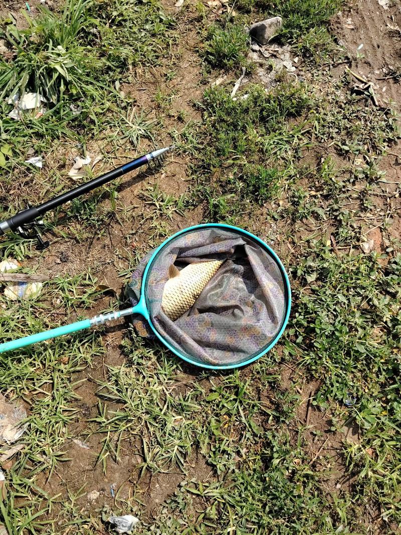 傳統釣法優勢_聊聊傳統釣-傳統釣專區達奇釣魚論壇_傳統釣法如何發揮優勢