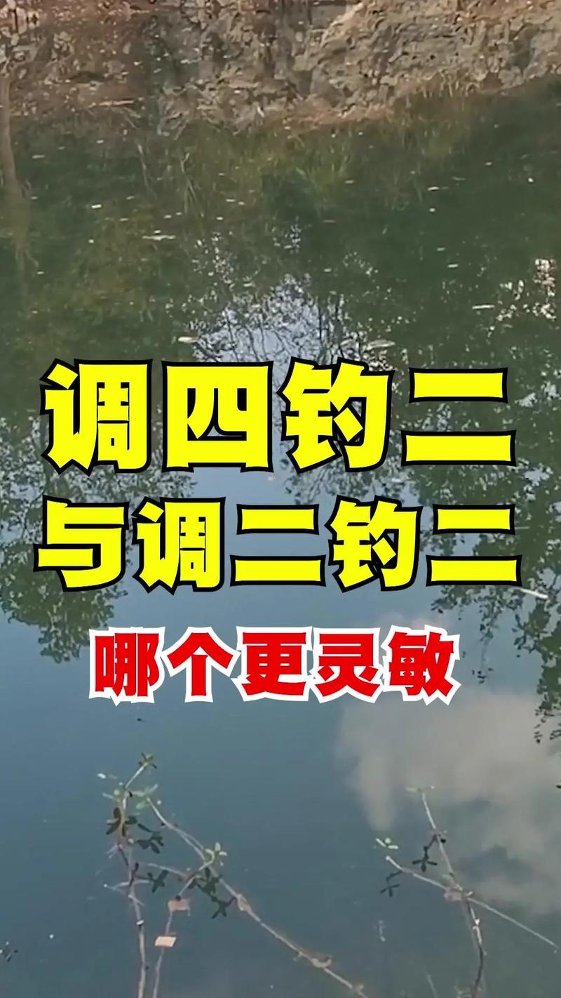 傳統釣與臺釣區別_聊聊傳統釣-傳統釣專區達奇釣魚論壇_臺釣與傳統釣核心差異