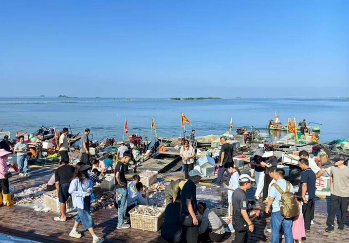 東平湖釣魚地點_東平湖開湖節 2023中國東平湖開湖節 生態漁業東平湖