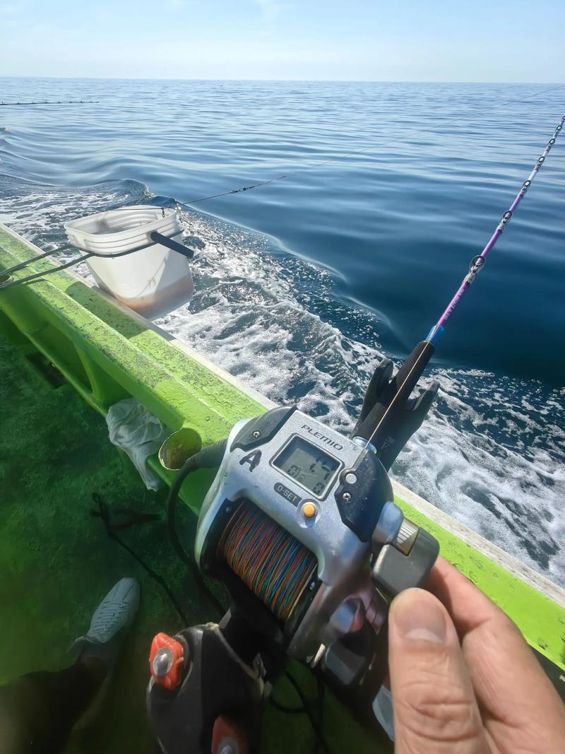 深海船釣與近海釣六線魚的垂釣技法_北方近海釣魚攻略_黑鲪魚釣法技巧