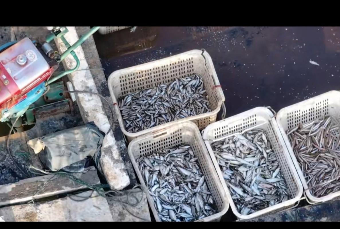 蒙陰縣云蒙湖生態區_昆山傀儡湖釣魚事件_云蒙湖釣魚事件
