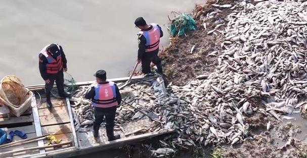 蒙陰縣云蒙湖生態區_云蒙湖釣魚事件_昆山傀儡湖釣魚事件