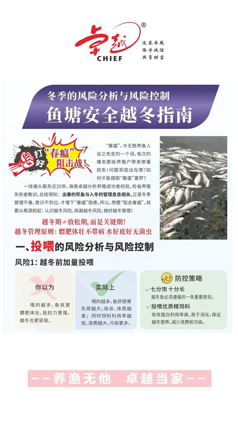 南方冬天魚塘釣魚技巧_冬季魚塘防凍措施_魚塘越冬安全技巧