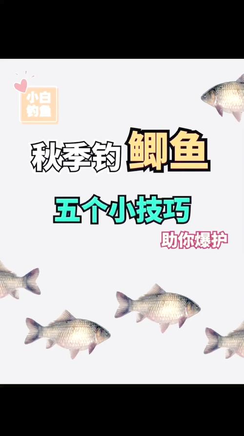 深秋釣魚增強魚活力餌料_深秋魚情很暴躁釣技釣法要靈活_深秋釣魚水溫低技巧