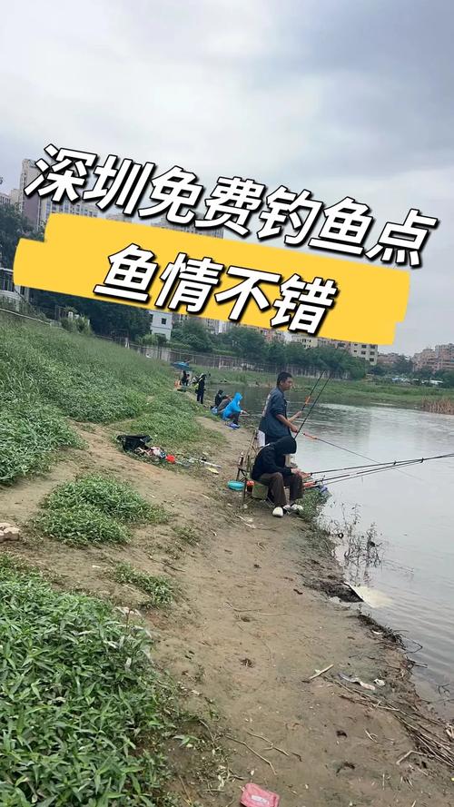 深圳釣場_深圳釣場大全_深圳哪里能釣魚_深圳夜釣地點_深圳市內釣點