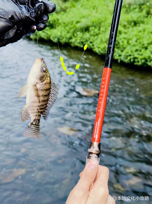 深圳水庫釣魚大全釣友分享拿走不謝_深圳熱門釣魚場所推薦_深圳釣魚好去處