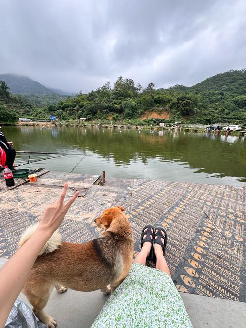 深圳熱門釣魚場所推薦_深圳釣魚好去處_深圳水庫釣魚大全釣友分享拿走不謝