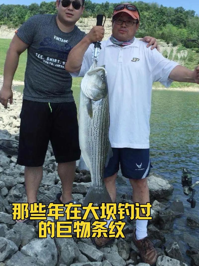 游釣江湖-黑龍江第一季01_游釣江湖第41集 石板灘水庫 冬季垂釣