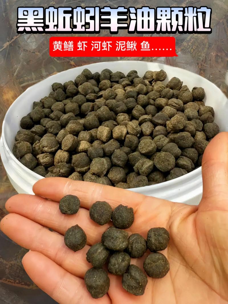 野釣禁餌封神_黑坑十大禁用餌料_黑坑老板最怕的餌料