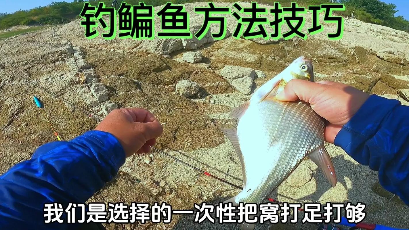 野釣鯪魚最佳時間_鯪魚攝食習性_鯪魚釣法精解【穩、準、全】