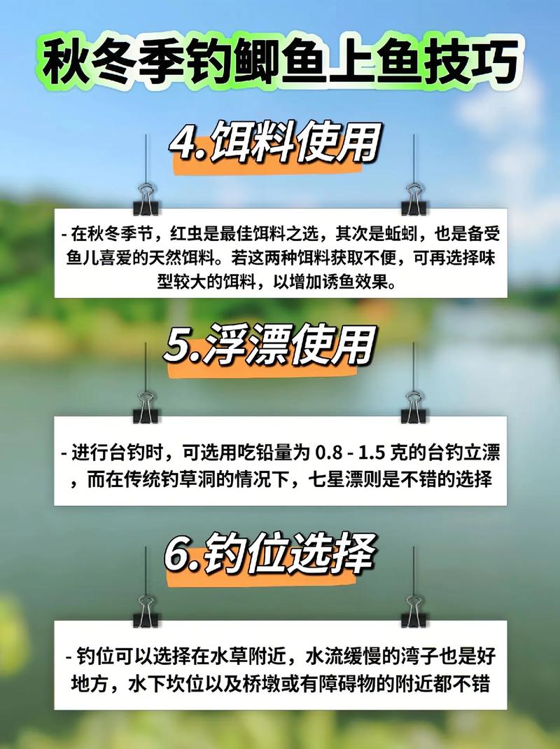 用什么餌料野釣大鯽魚_秋冬季釣大鯽魚最佳方法_野釣大鯽魚抖灰面
