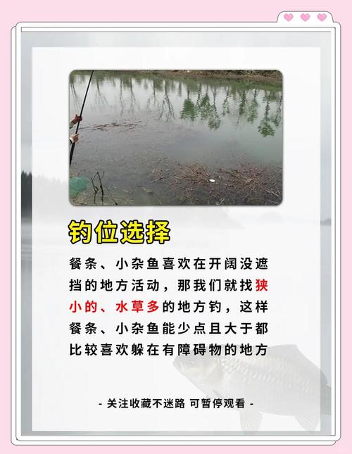 野釣小雜魚鬧窩怎么辦_野釣鯽魚避開小魚技巧_野釣雜魚鬧鉤怎么辦
