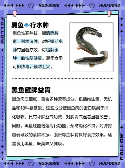 黑魚營養價值_黑魚喜歡吃什么東西_黑魚功效作用