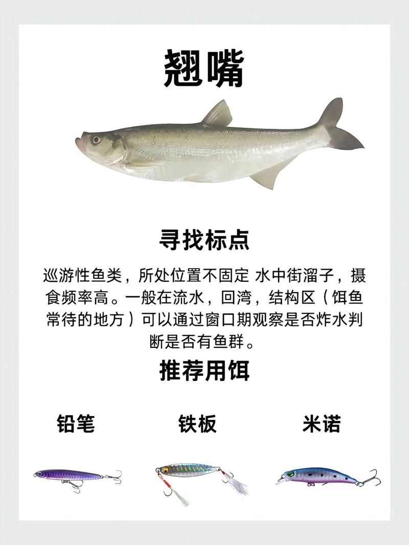 作釣水層選餌_鱸魚活性選餌_黑魚用什么餌料釣最好