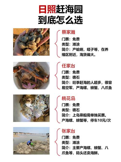 日照農家樂哪家好_日照海邊住宿餐飲避坑指南_日照漁家樂正規推薦