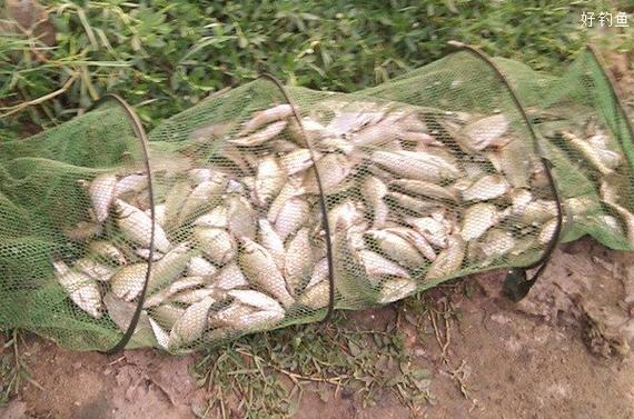 如何釣黑坑不虧本_黑坑釣魚技巧_黑坑釣魚技巧