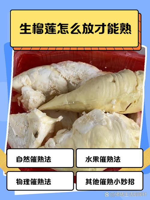 自制榴蓮披薩教程_榴蓮有哪些做法?_榴蓮披薩做法