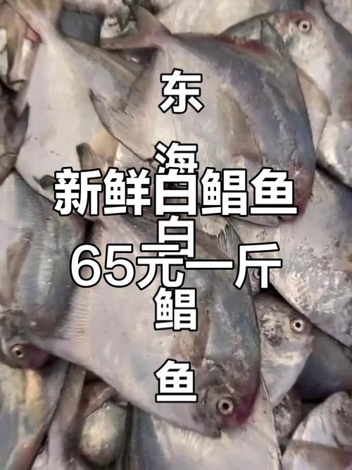 紅鯧魚價格多少錢一斤_鯧魚價格查詢_鯧魚營養價值分析