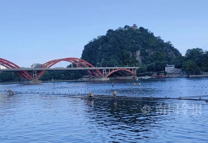 柳州柳北區江河大全_柳州水位暴漲 柳江河洪水 柳州防洪情況