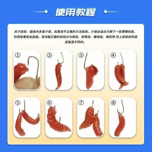 紅蟲釣魚技巧_紅蟲是什么怎么掛鉤_紅蟲掛鉤方法