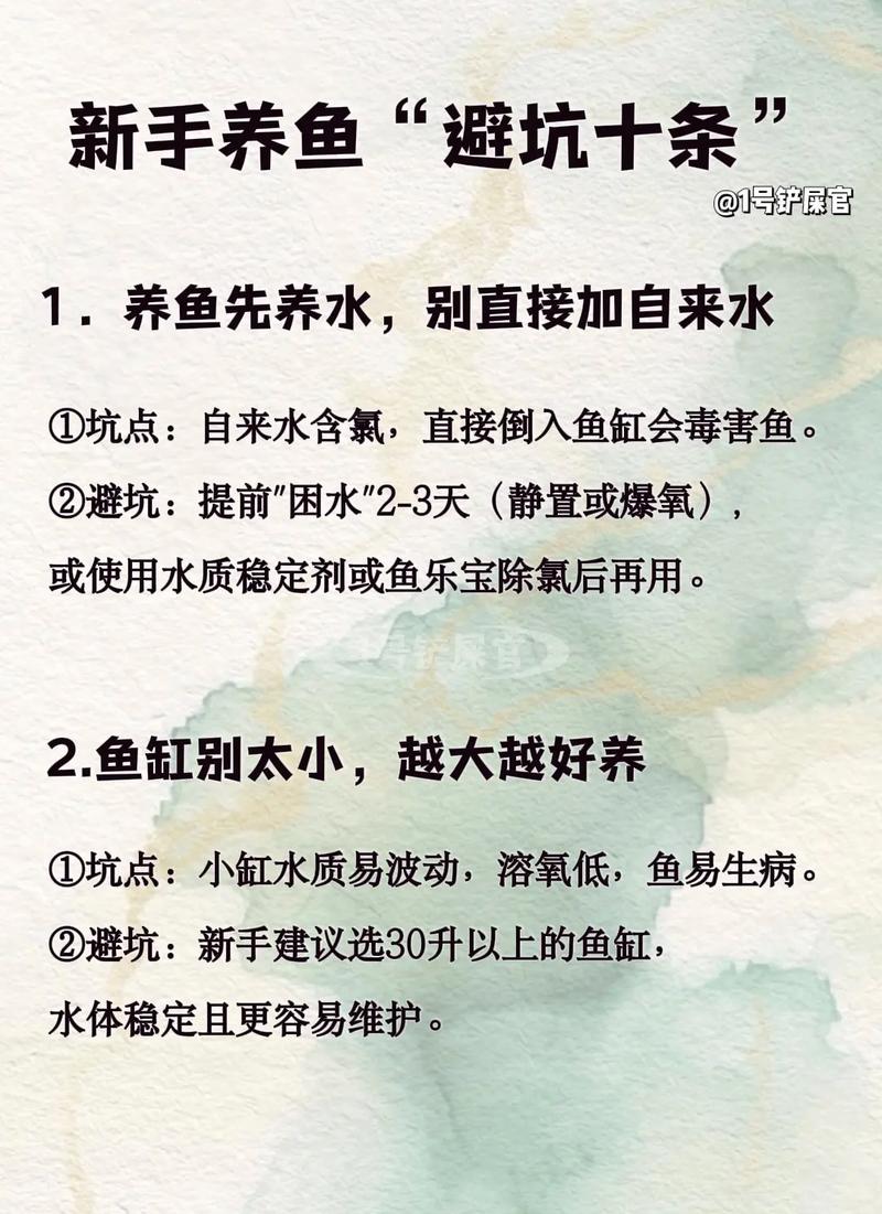 新手養魚避坑指南_開缸養水注意事項_如何養魚