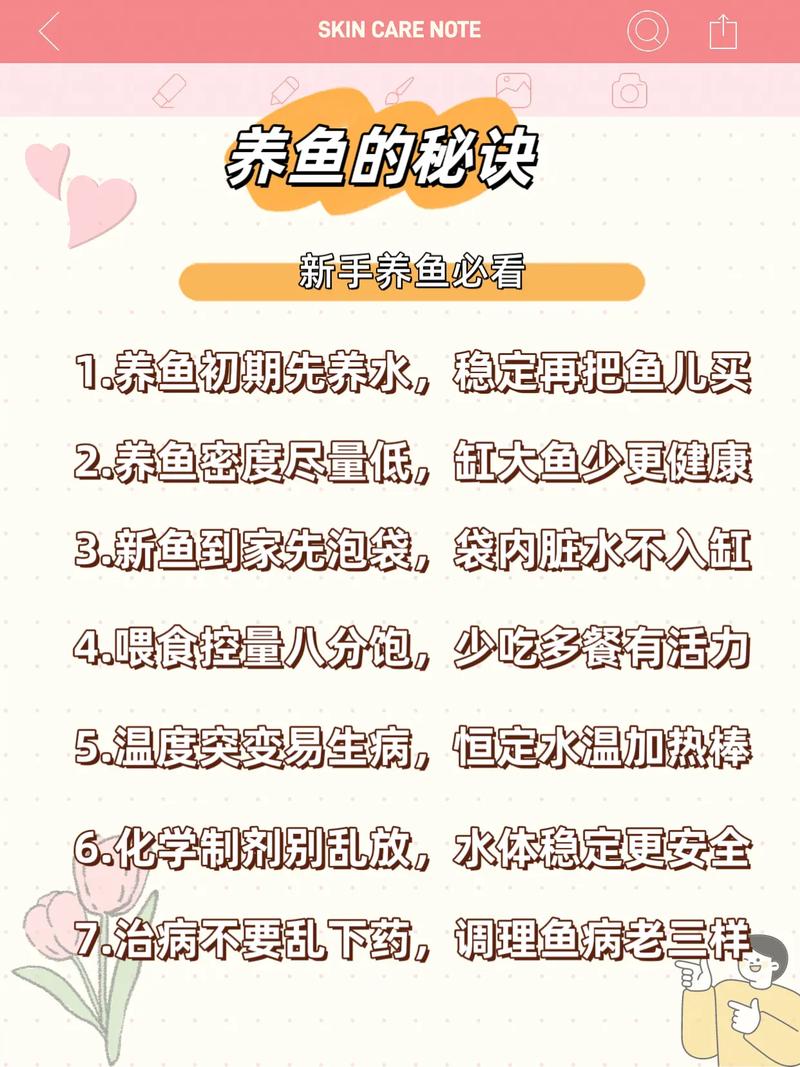 開缸養水注意事項_如何養魚_新手養魚避坑指南