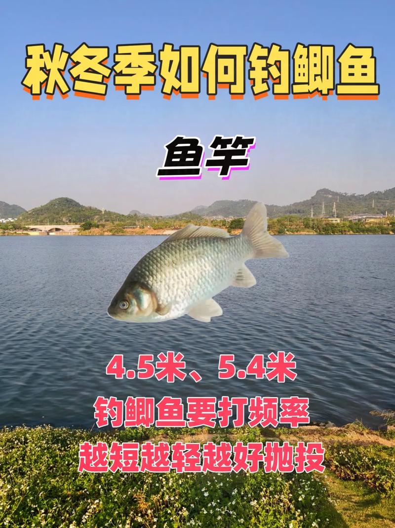 垂釣鯽魚過程_初秋釣鯽魚技巧_秋季釣鯽魚