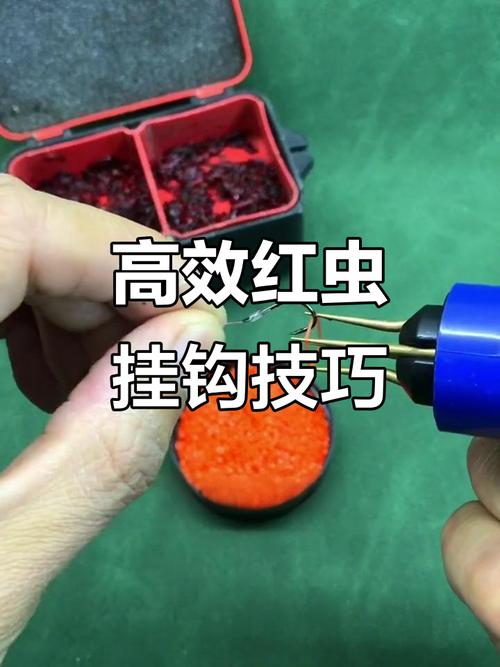 掛鉤紅蟲用中號還是大號_紅蟲怎么掛鉤_掛鉤紅蟲是公還是母