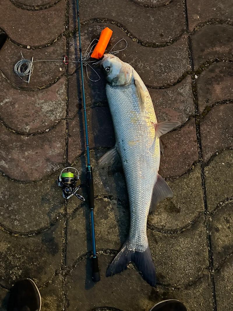 柳州釣場資源豐富多樣_柳州有沒有路亞的朋友啊_柳州釣魚之家八桂釣魚