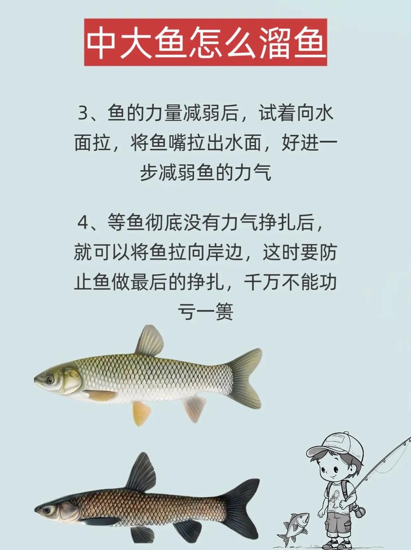 避免大魚跳出水面試釣魚_遛魚_怎么遛魚_遛大魚技巧